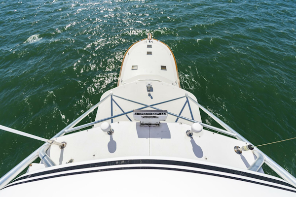 Buddy Davis-61 Convertible 1993-Nauti Norwegian Hampton-Virginia-United States-5172473