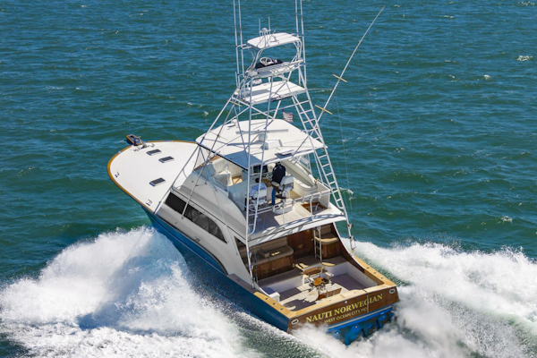 Buddy Davis-61 Convertible 1993-Nauti Norwegian Hampton-Virginia-United States-5172450