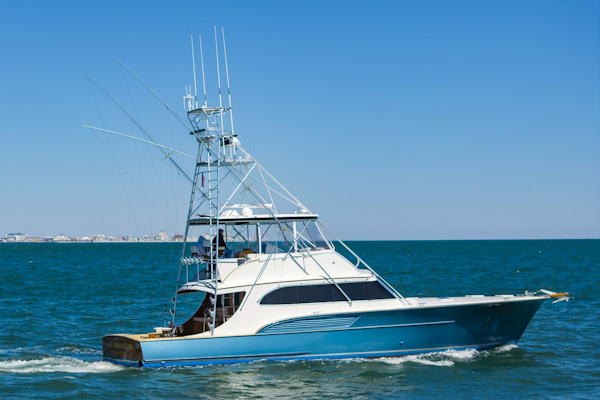 Buddy Davis-61 Convertible 1993-Nauti Norwegian Hampton-Virginia-United States-5172508