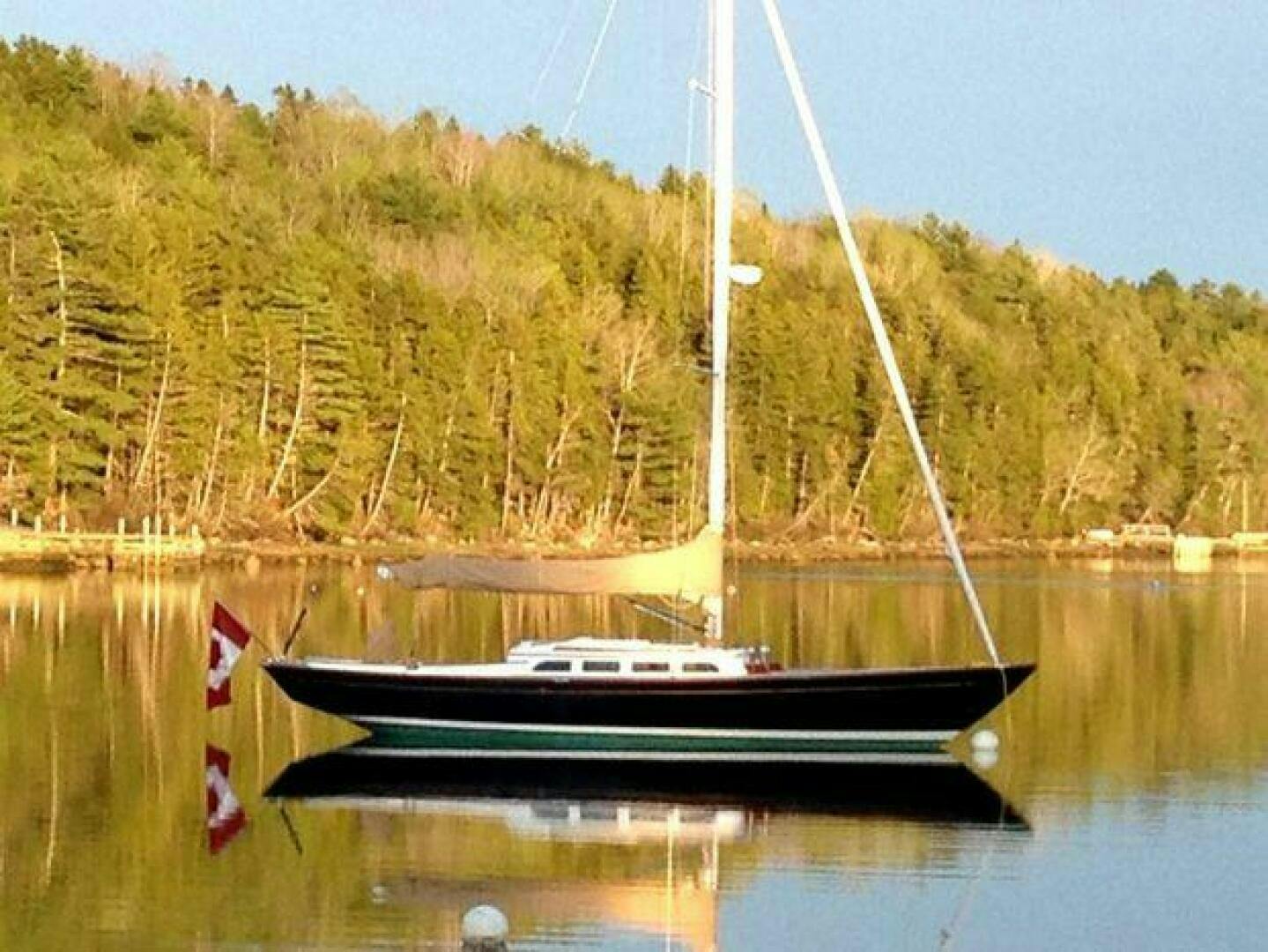 Morris-M42 2006-Marea Canada-5007656