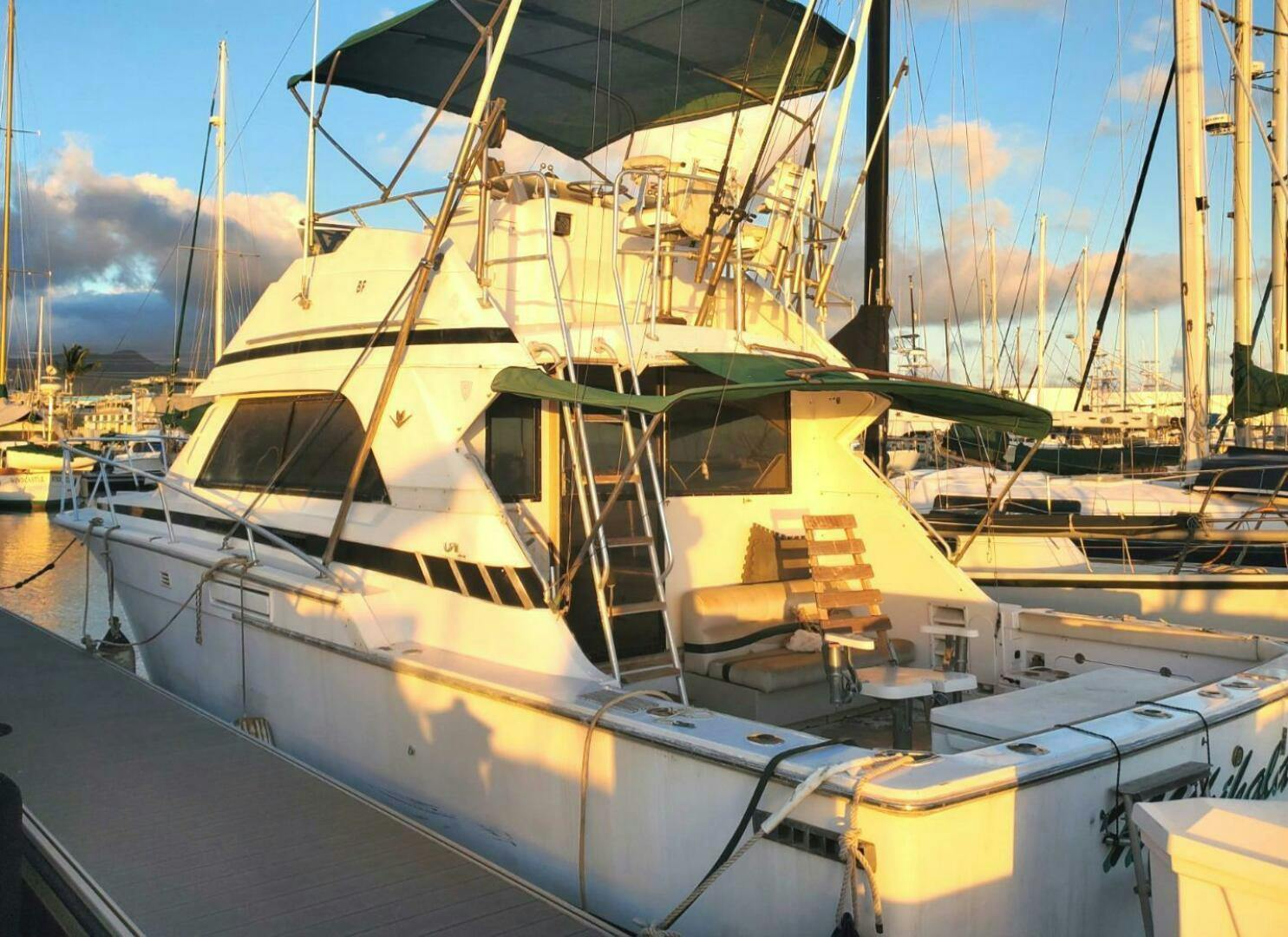 Bertram-37 Convertible 1988 -Honolulu-Hawaii-United States-5013616