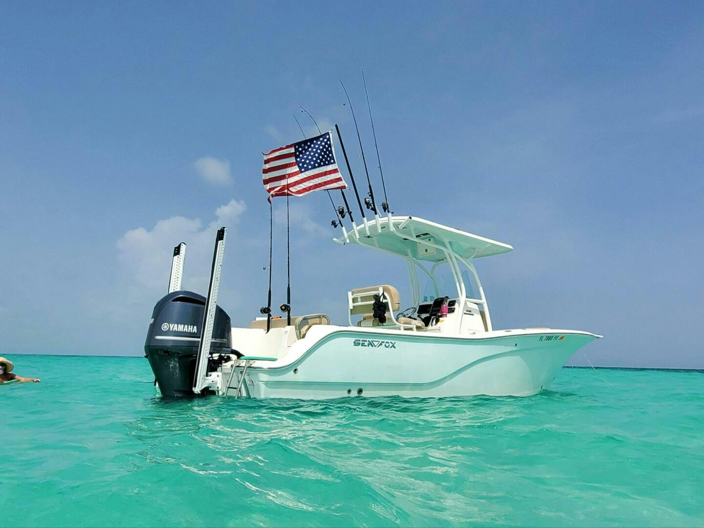 Sea Fox-246 Commander 2015 -St. Petersburg-Florida-United States-5015371