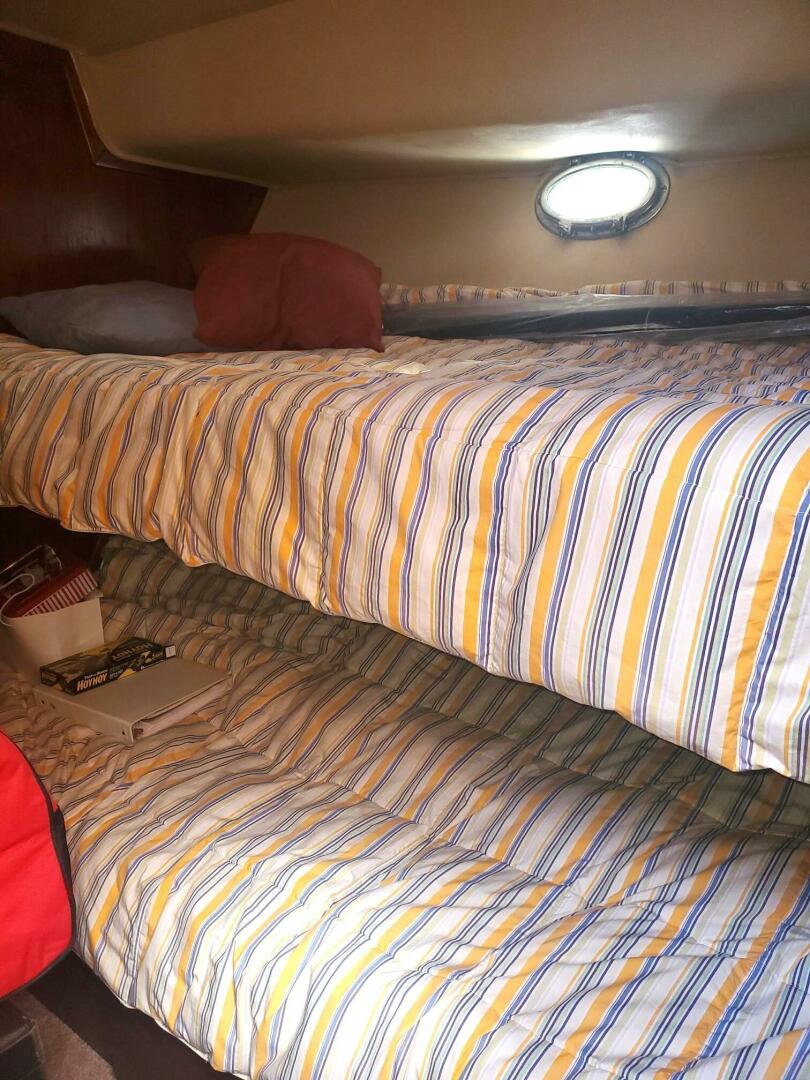Californian-5239 Cockpit Motor Yacht 1985 -Honolulu-Hawaii-United States-5050894 | Thumbnail