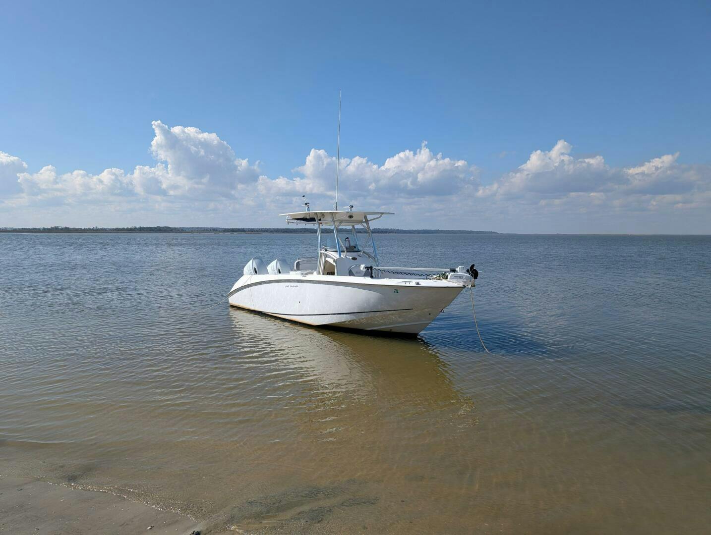 Boston Whaler 2008 -Savannah-Georgia-United States-5051826