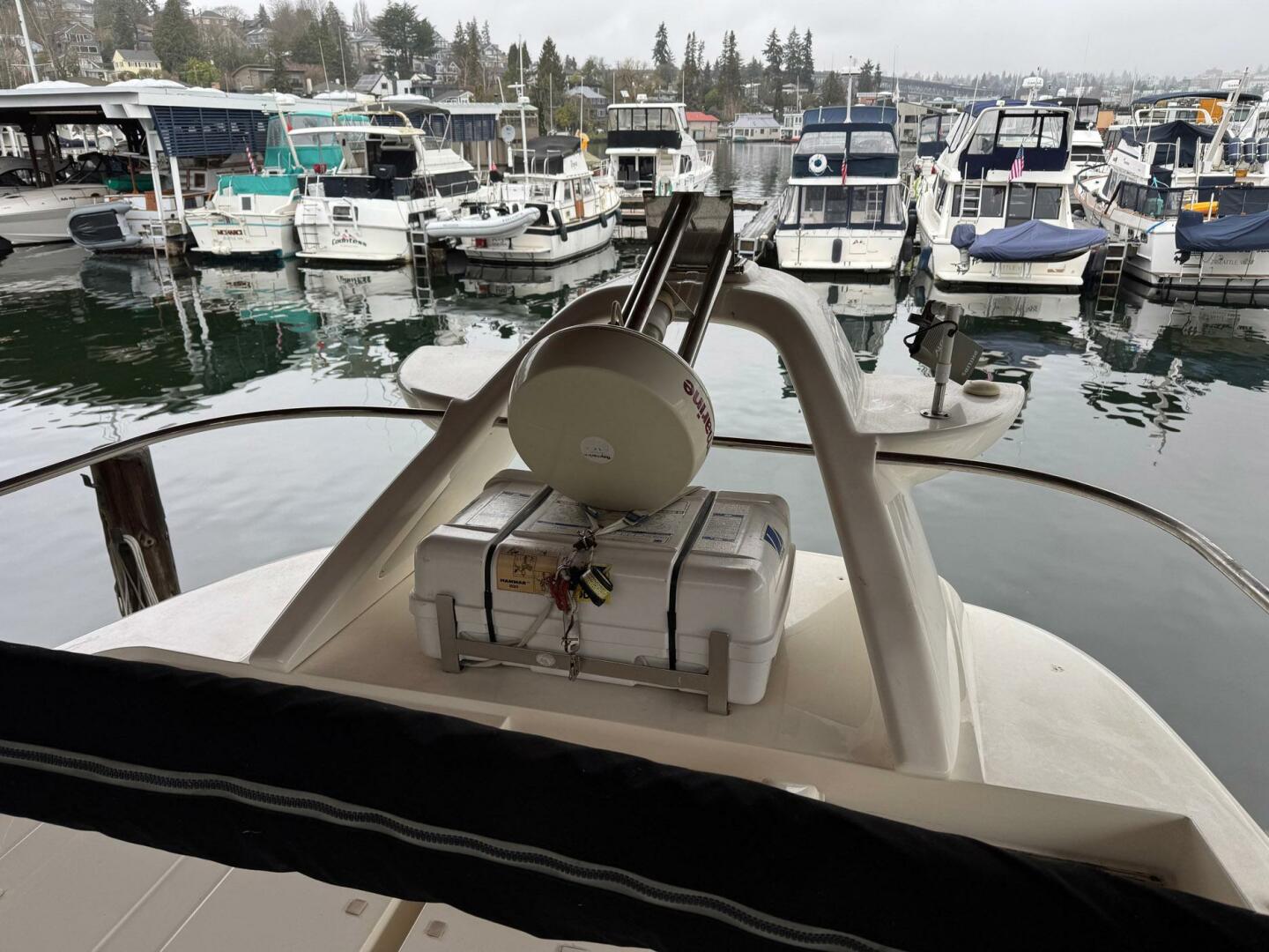 Sealine-T47 2000-HIGH SIERRA Seattle-Washington-United States-5052649 | Thumbnail