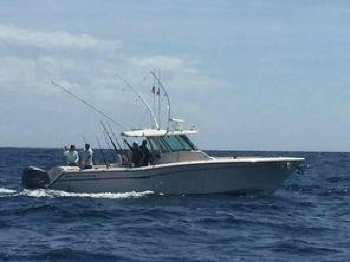 Grady-White-366 Canyon 2013-Get Reel Ocean City-Maryland-United States-5058458