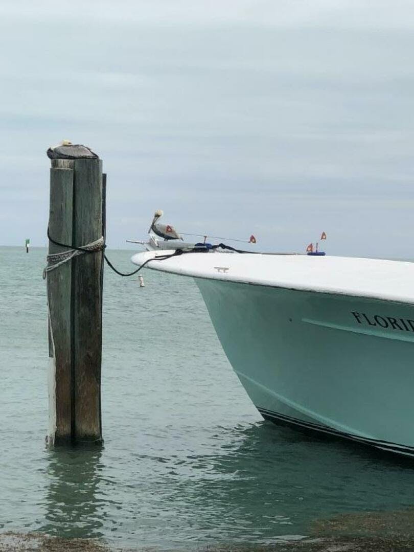 Hatteras-Sportfish 53 1979 -Largo-Florida-United States-5063121