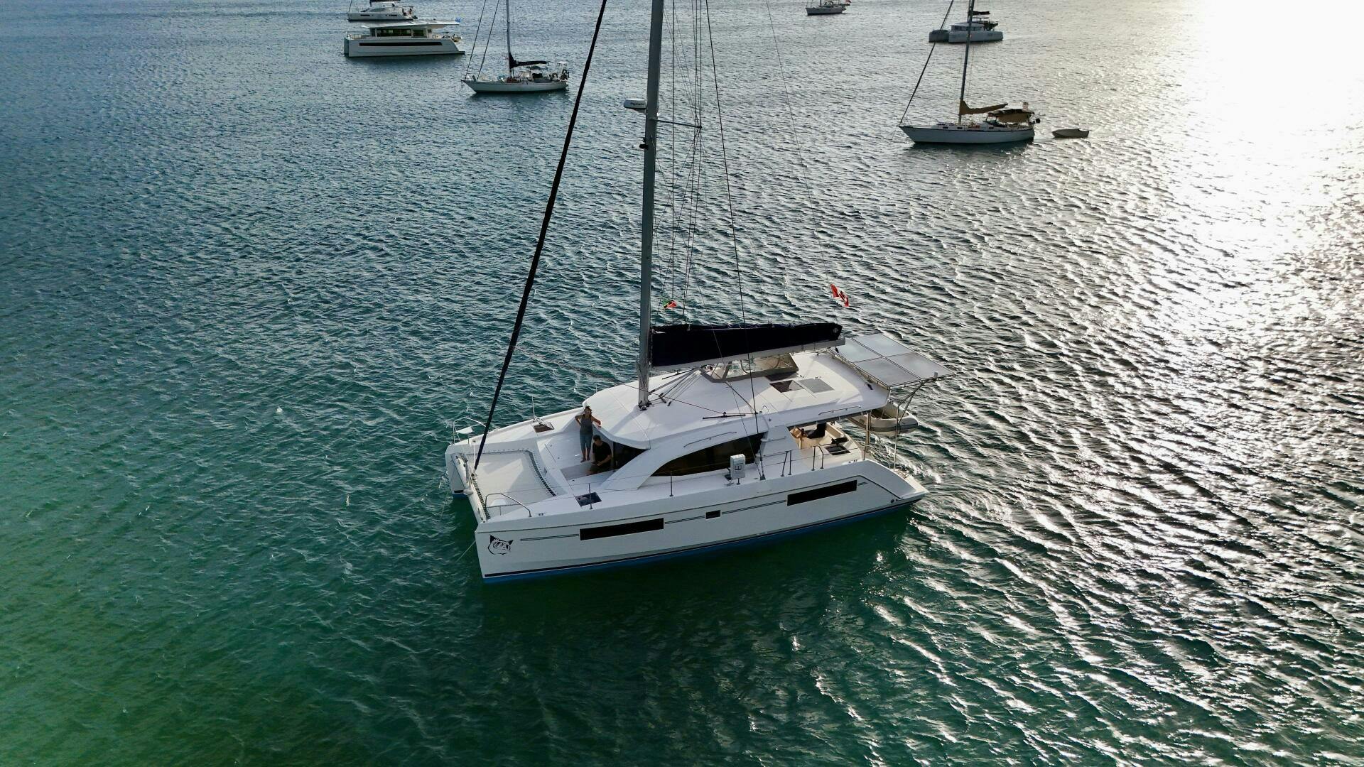 Leopard-40 2019-GroovyCat Grenada-5090595
