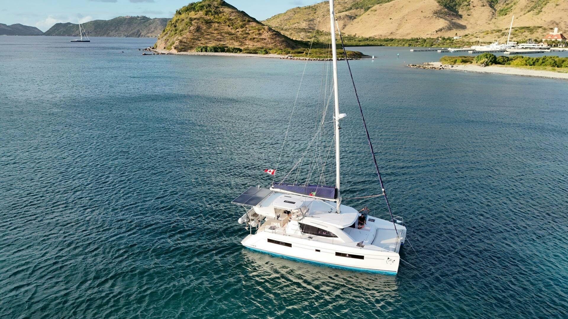 Leopard-40 2019-GroovyCat Grenada-5090594