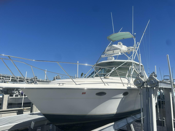 Tiara Sport-3100 Open 1995-SALT HIPPIE Stuart-Florida-United States-5103000