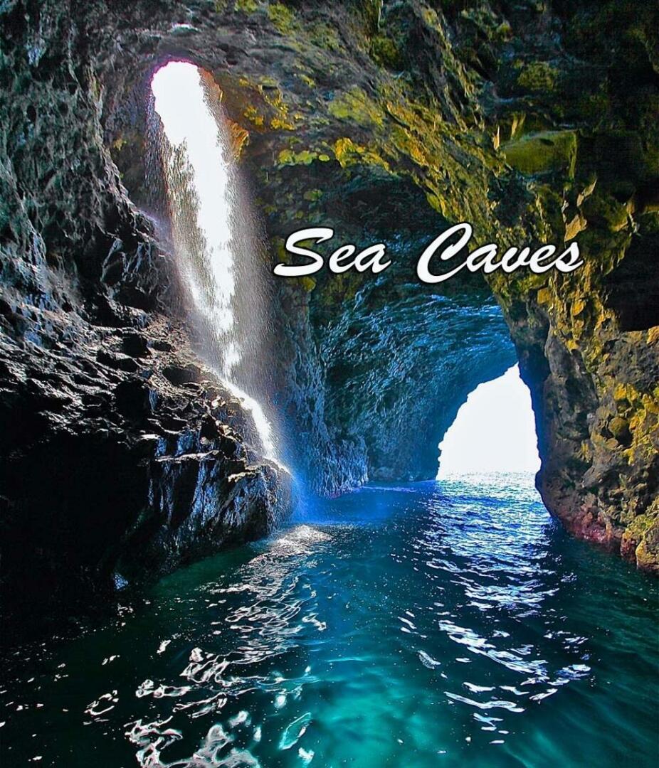 Zodiac Milpro-920 2001-DUKE KALAHEO-Hawaii-United States-5104428 | Thumbnail