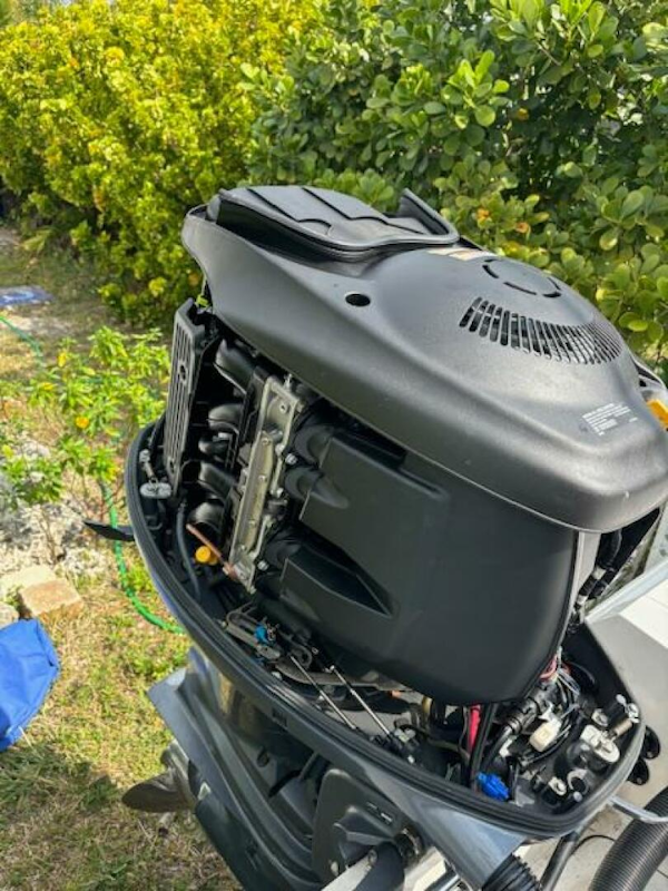 Release-208 RX 2016 -Stuart-2016 Release 208 RX outboard motor with open cover, surrounded by greenery.-5114933
