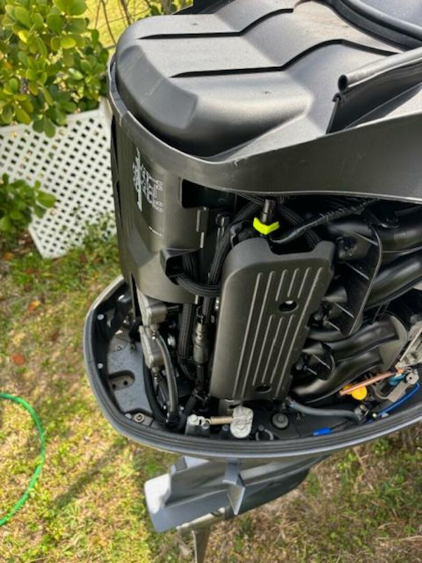 Release-208 RX 2016 -Stuart-2016 Release 208 RX outboard motor, detailed view, outdoors on grass.-5114934