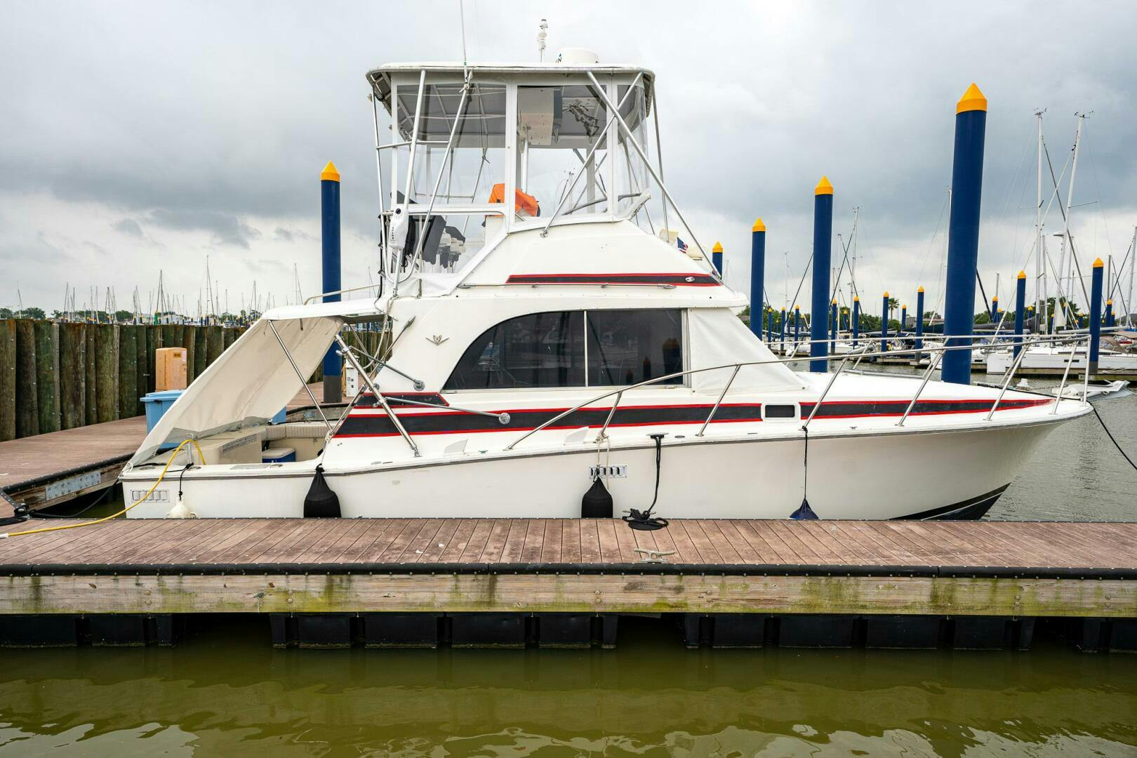 Bertram-33 Sport Fish 1984-Suzanna League City-Texas-United States-5114983