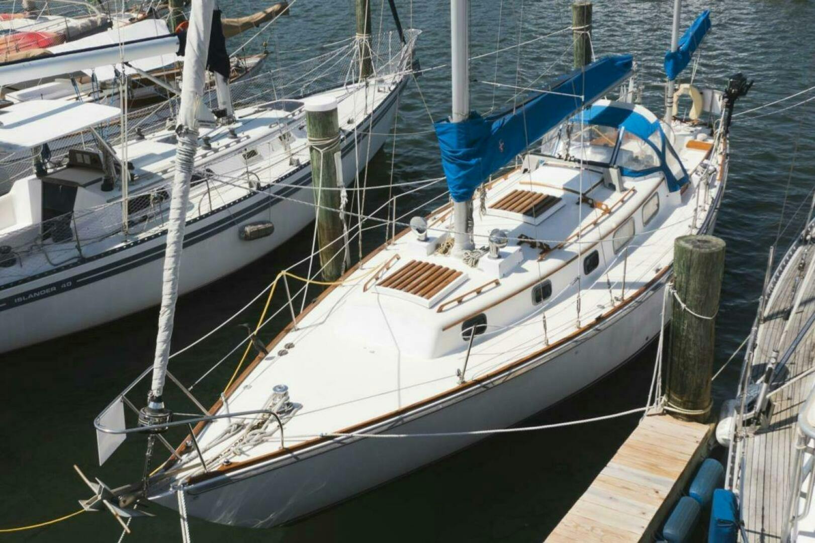 Bristol-Yawl 1981 -Deltaville-Virginia-United States-5123587