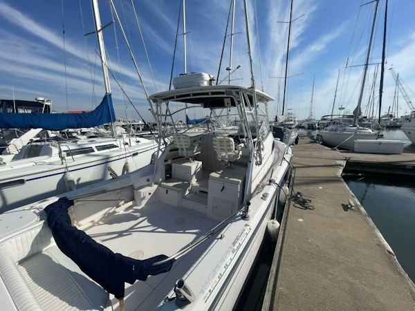 Grady-White-Marlin 300 2003-SeaHabilitation Mount Pleasant-South Carolina-United States-5126294