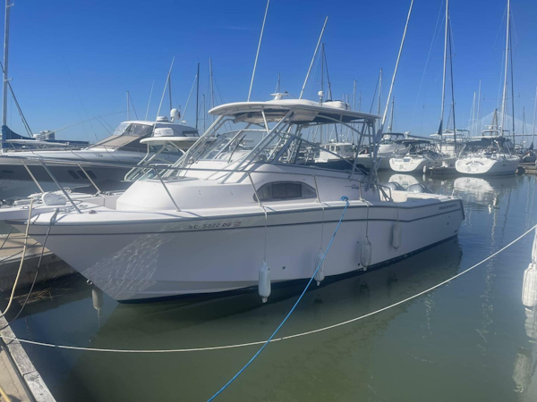 Grady-White-Marlin 300 2003-SeaHabilitation Mount Pleasant-South Carolina-United States-5126300