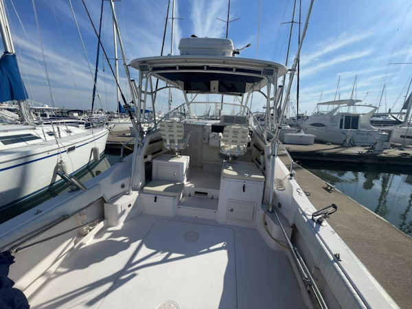 Grady-White-Marlin 300 2003-SeaHabilitation Mount Pleasant-South Carolina-United States-5126260