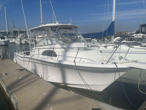 Grady-White-Marlin 300 2003-SeaHabilitation Mount Pleasant-South Carolina-United States-5126253