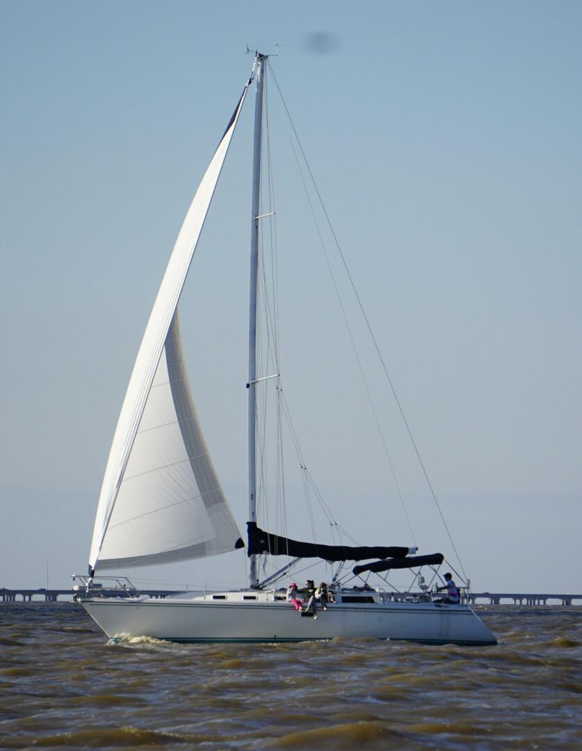 Catalina-42 MKI 1991-Between Dreams New Orleans-Louisiana-United States-Catalina 42-5166283 | Thumbnail