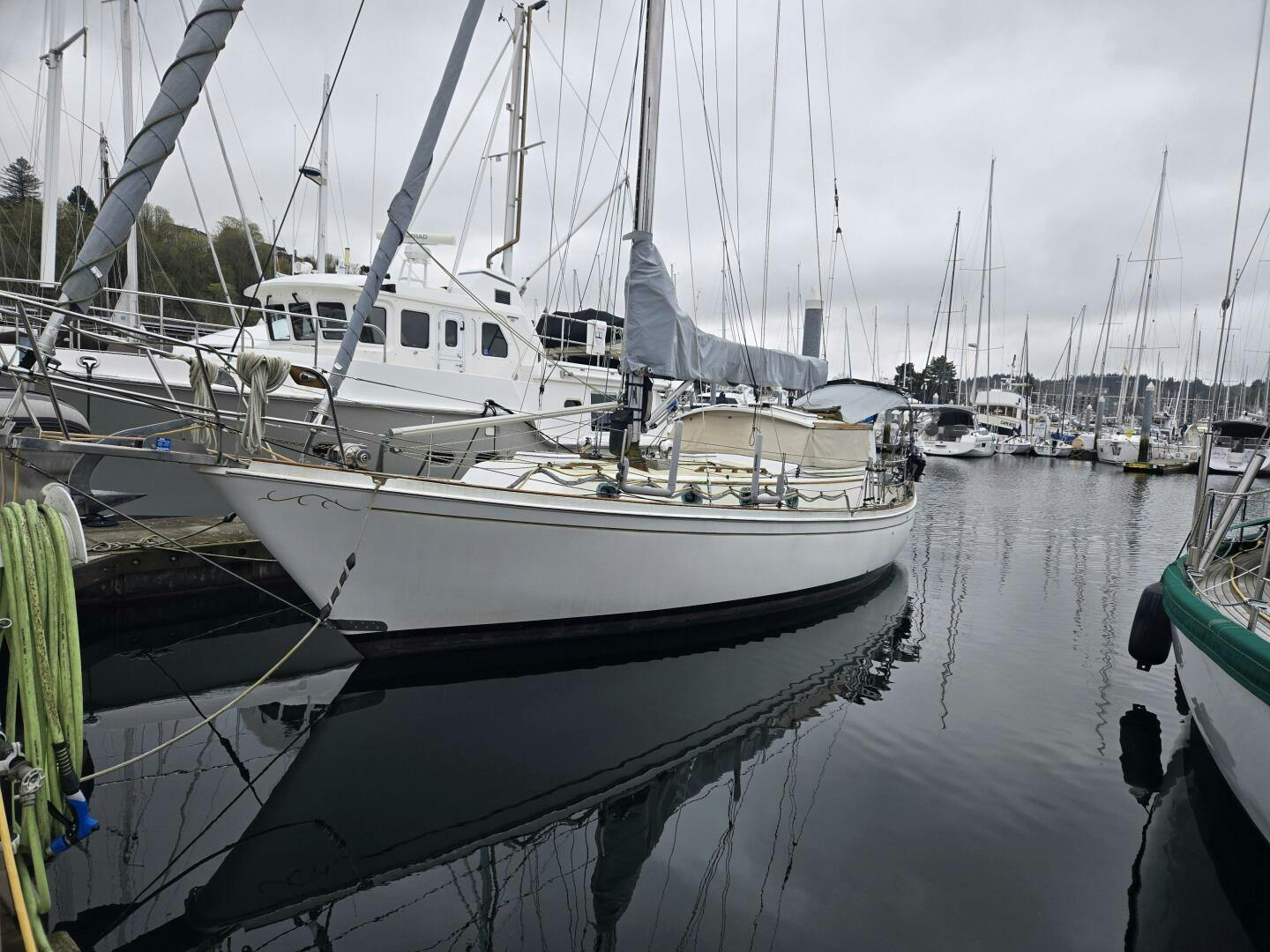 Shannon-PH Cutter 1980-Amelia Seattle-Washington-United States-Port Sise-5179361