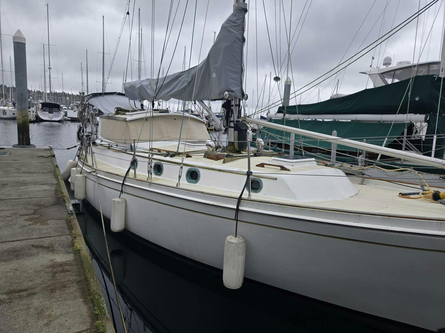 Shannon-PH Cutter 1980-Amelia Seattle-Washington-United States-Starboard Side-5179362