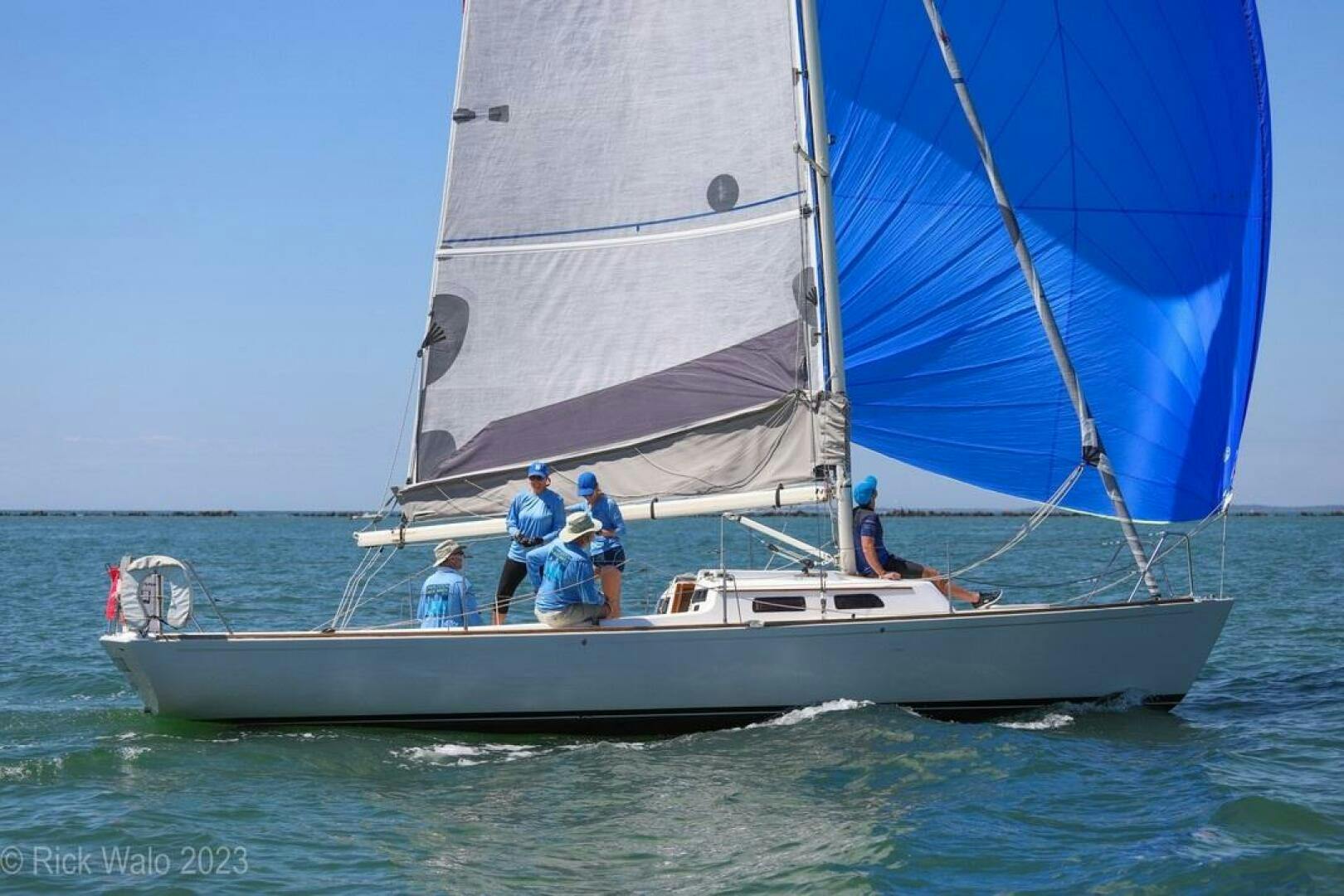 e Sailing Yachts-e Sailing Yachts e33 2009-Easterly Charleston-South Carolina-United States-5198229