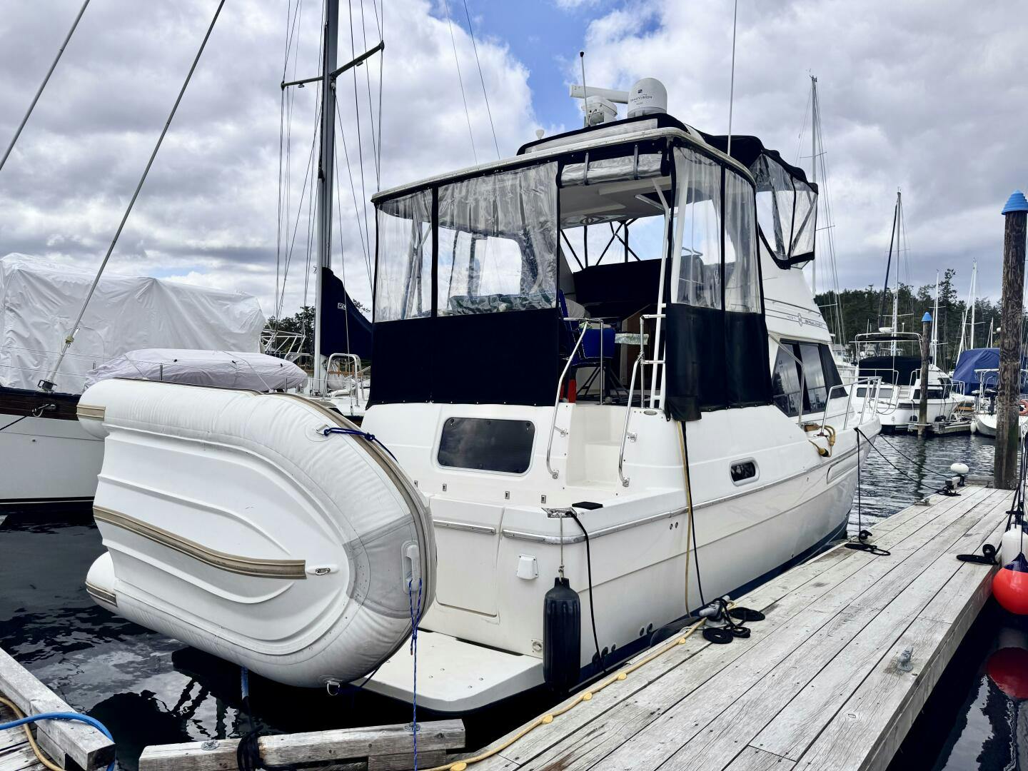Bayliner-4087 1998-Therapi Sidney-British Columbia-Canada-5216174