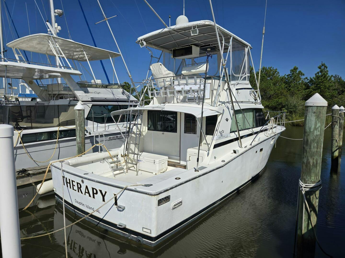 Bertram 1981 -Mobile-Alabama-United States-5272728