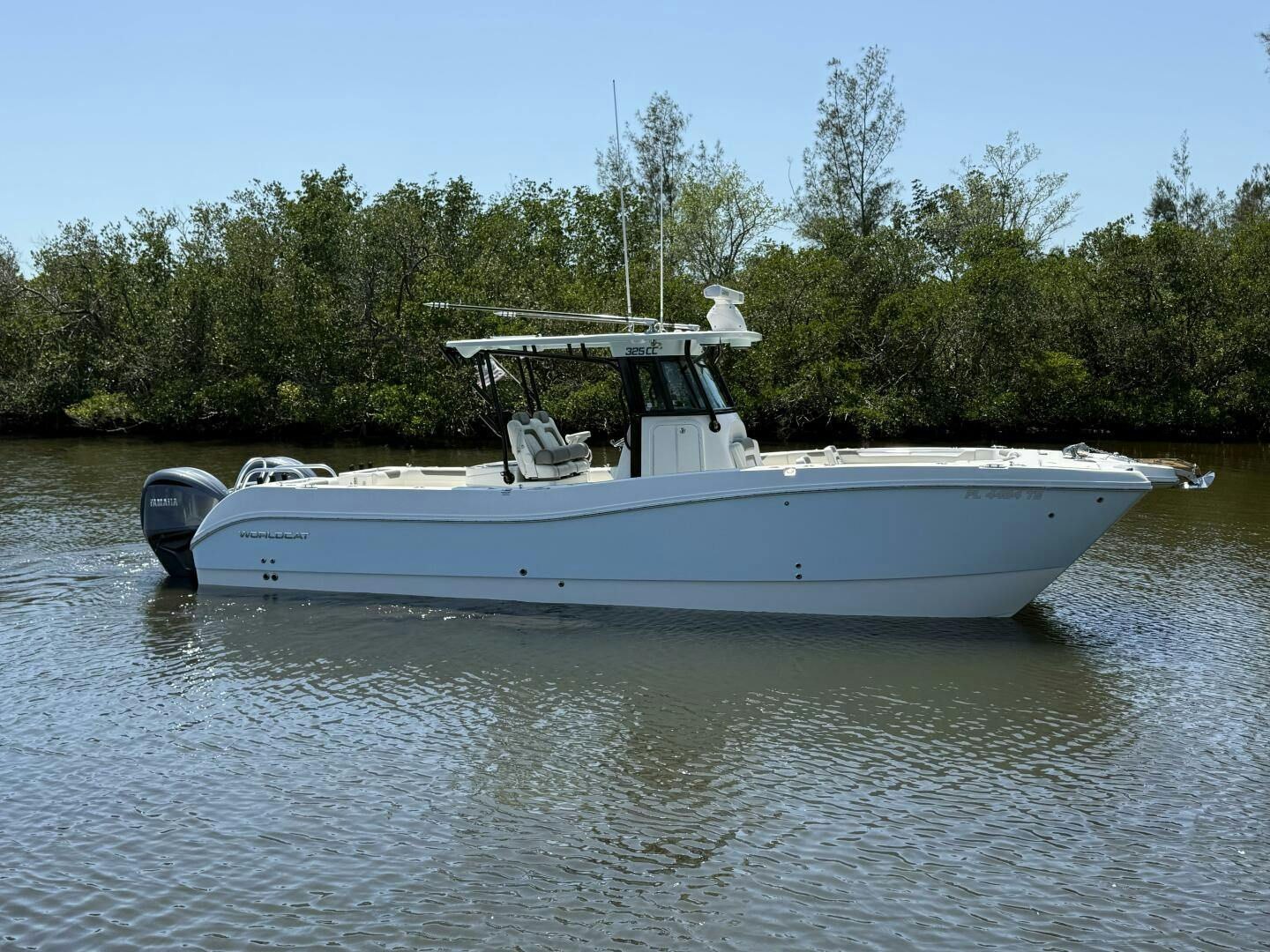 World Cat 2022 -Sarasota-Florida-United States-5286087