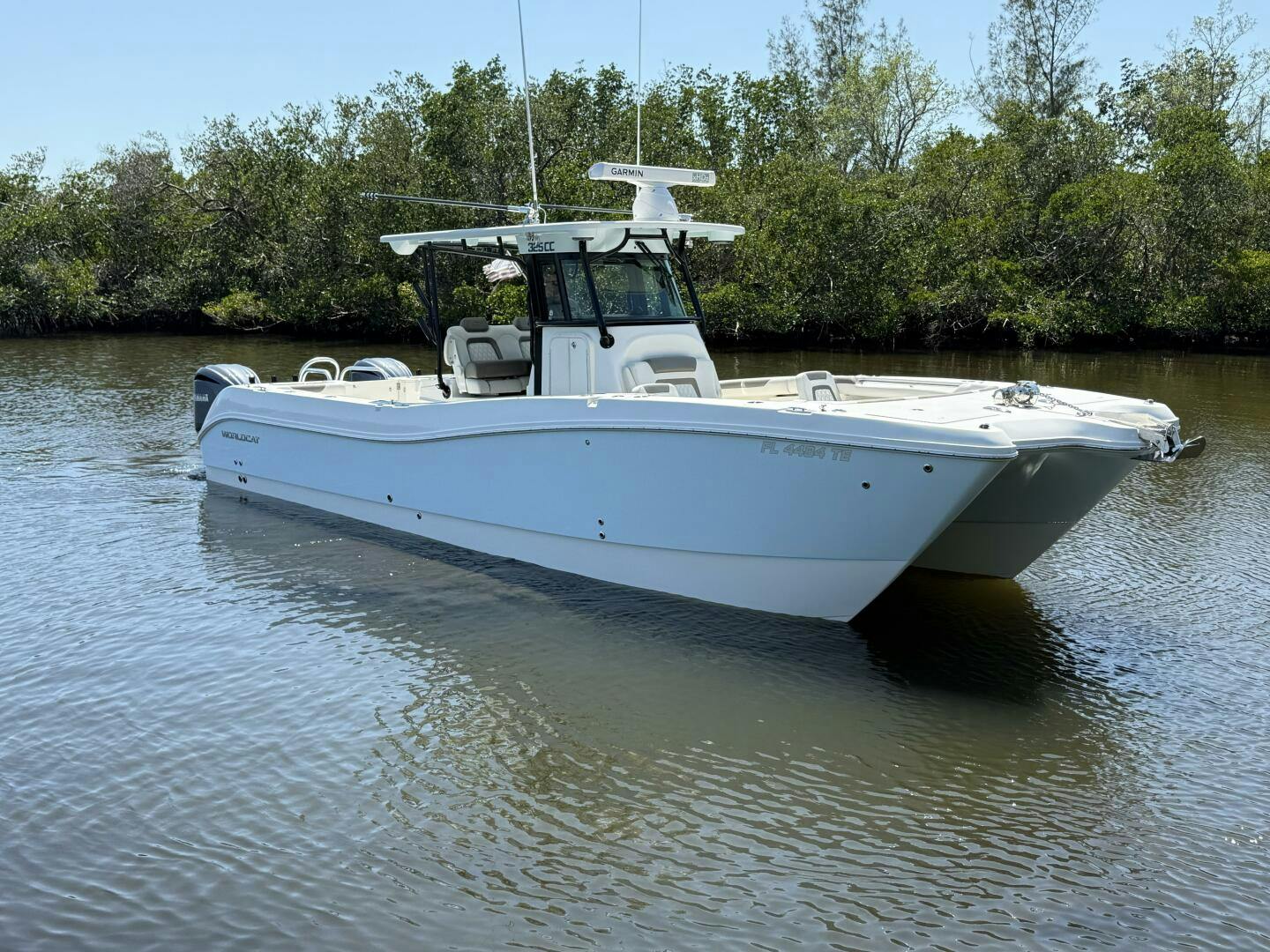 World Cat 2022 -Sarasota-Florida-United States-5286088