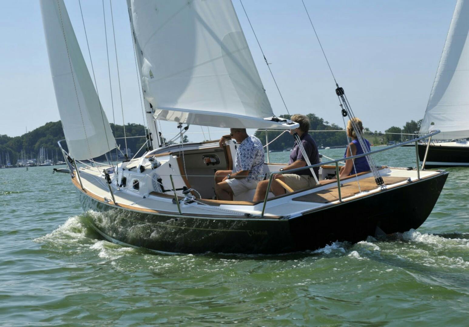 Tartan-Fantail 2014-Firefly Brooklin-Maine-United States-5296546