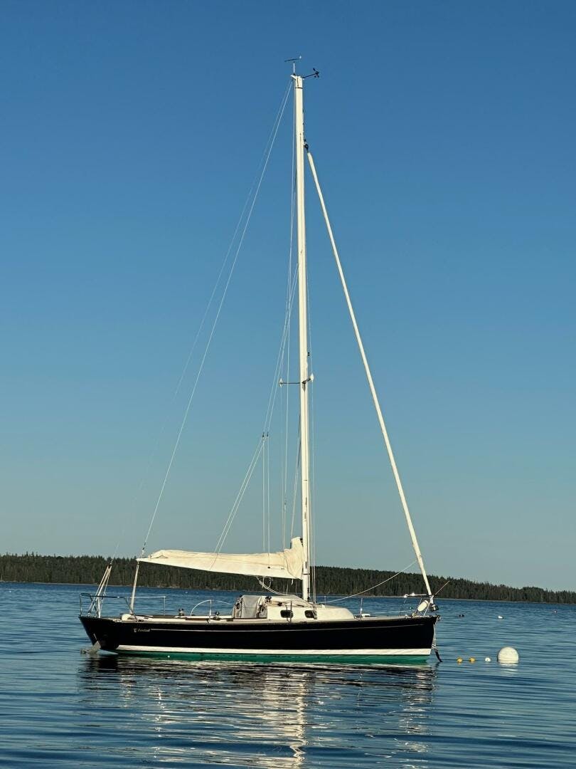 Tartan-Fantail 2014-Firefly Brooklin-Maine-United States-5296547