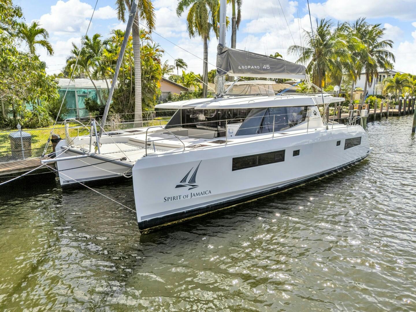 Leopard 2020 -Fort Lauderdale-Florida-United States-5321887