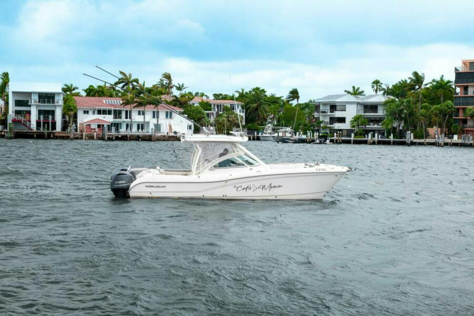 World Cat 2019-The Cats Meow Miami-Florida-United States-World Cat 29 The Cats Meow Profile-5333689