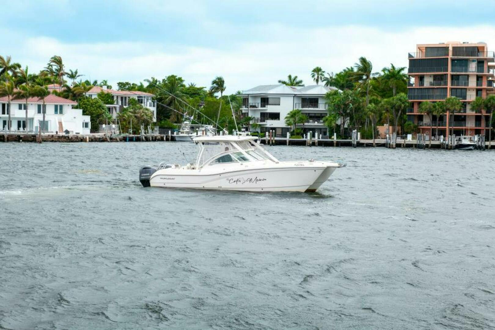 World Cat 2019-The Cats Meow Miami-Florida-United States-World Cat 29 The Cats Meow Profile-5333690