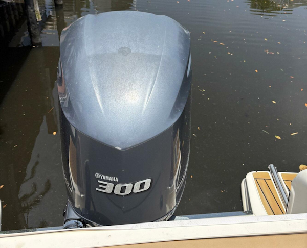 Scout-245 Dorado 2014 -Palm Beach Gardens-Florida-United States-5341673