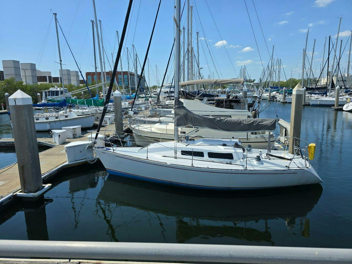 Frers-30 1987 -St. Petersburg-Florida-United States-5348225