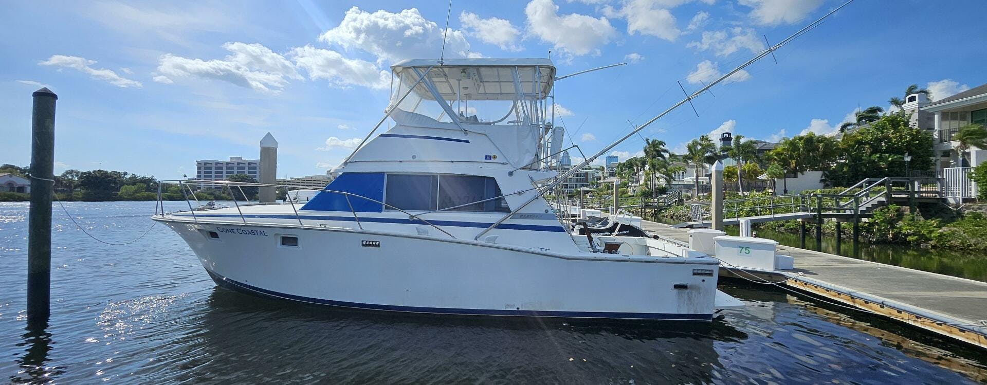 Bertram-38 Convertible 1982-Gone Coastal Tierra Verde-Florida-United States-5378396