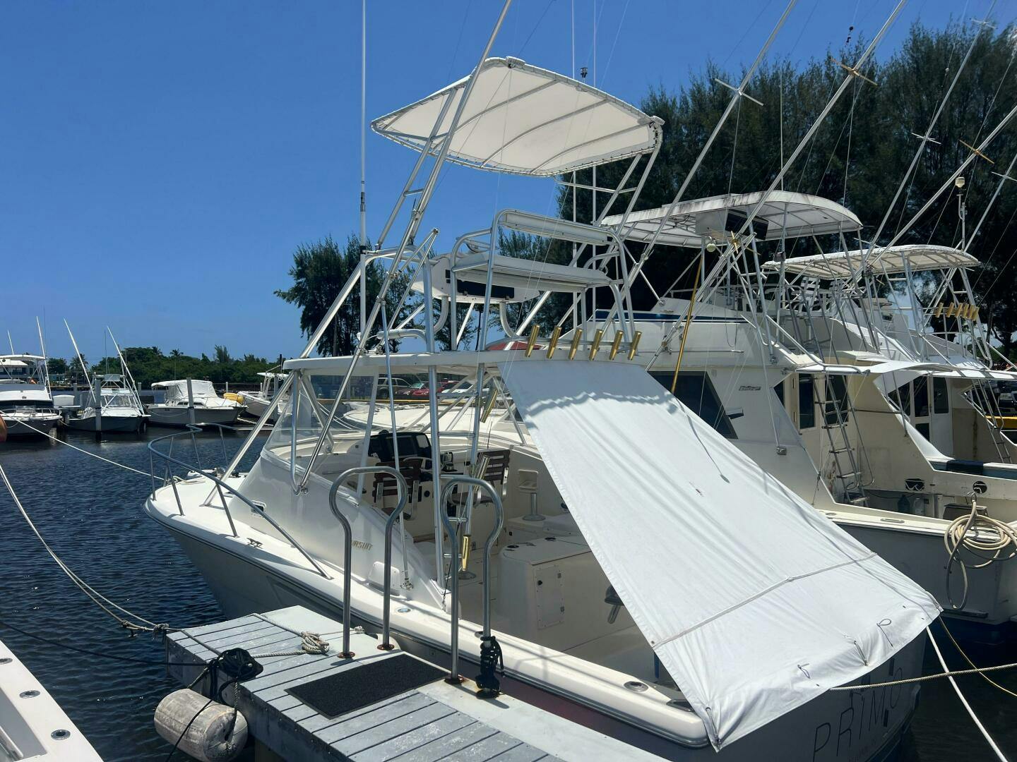 Pursuit-3000 Offshore Express 2024-Primo Carolina-Puerto Rico-5397393