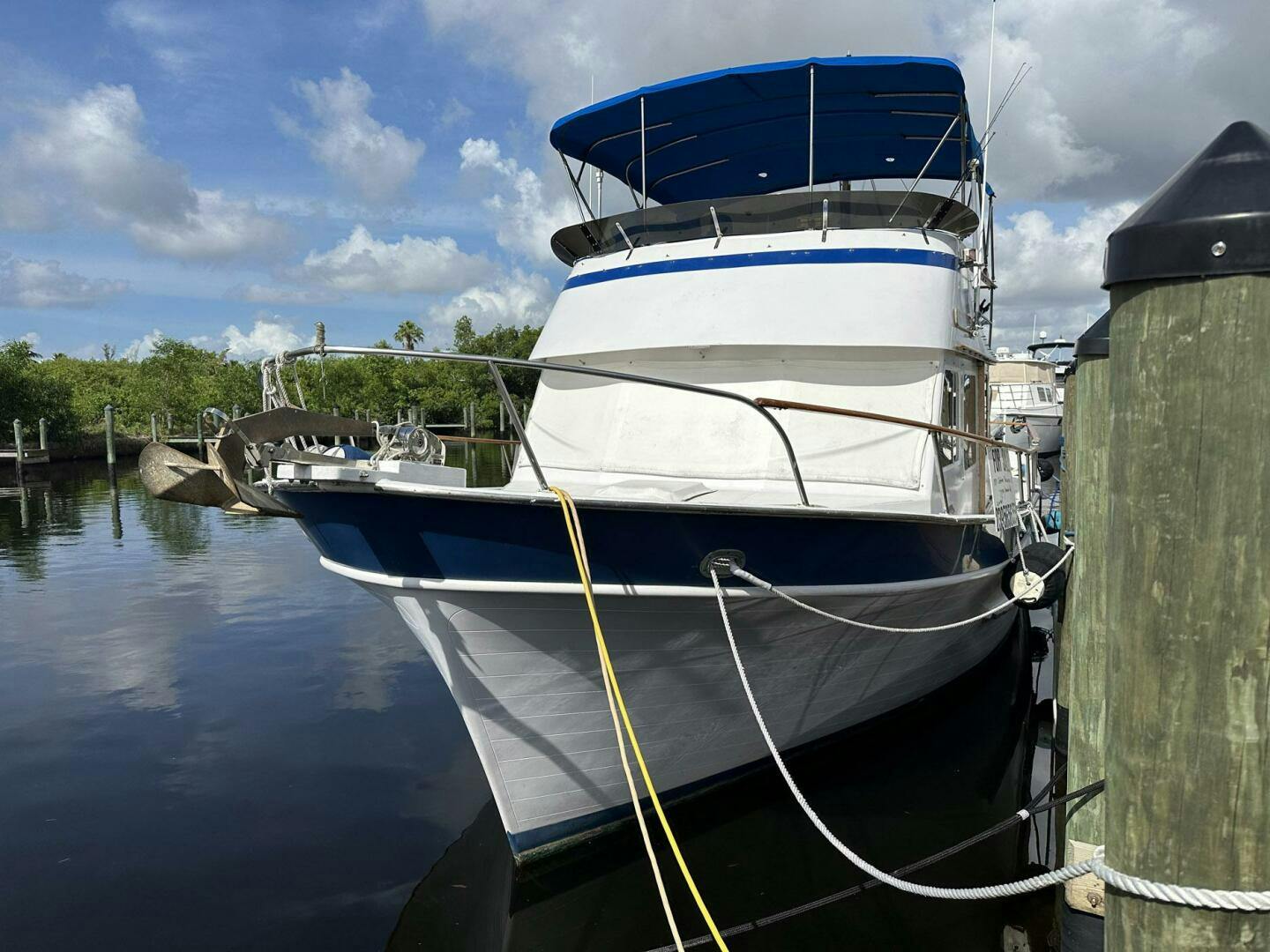 DeFever-40 1974-BLUE TURTLE North Ft. Myers-Florida-United States-5398571