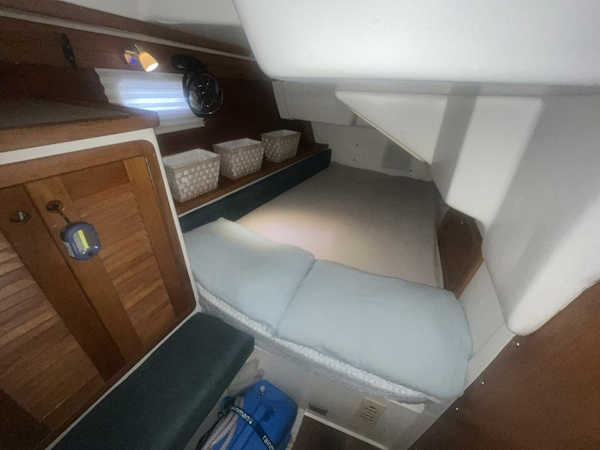 Catalina-42 MK II 1999-Bella Vita Jacksonville-Florida-United States-5401892