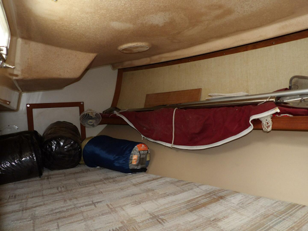 Island Packet-32 1990-OVERBYTE Fort Pierce-Florida-United States-5455901