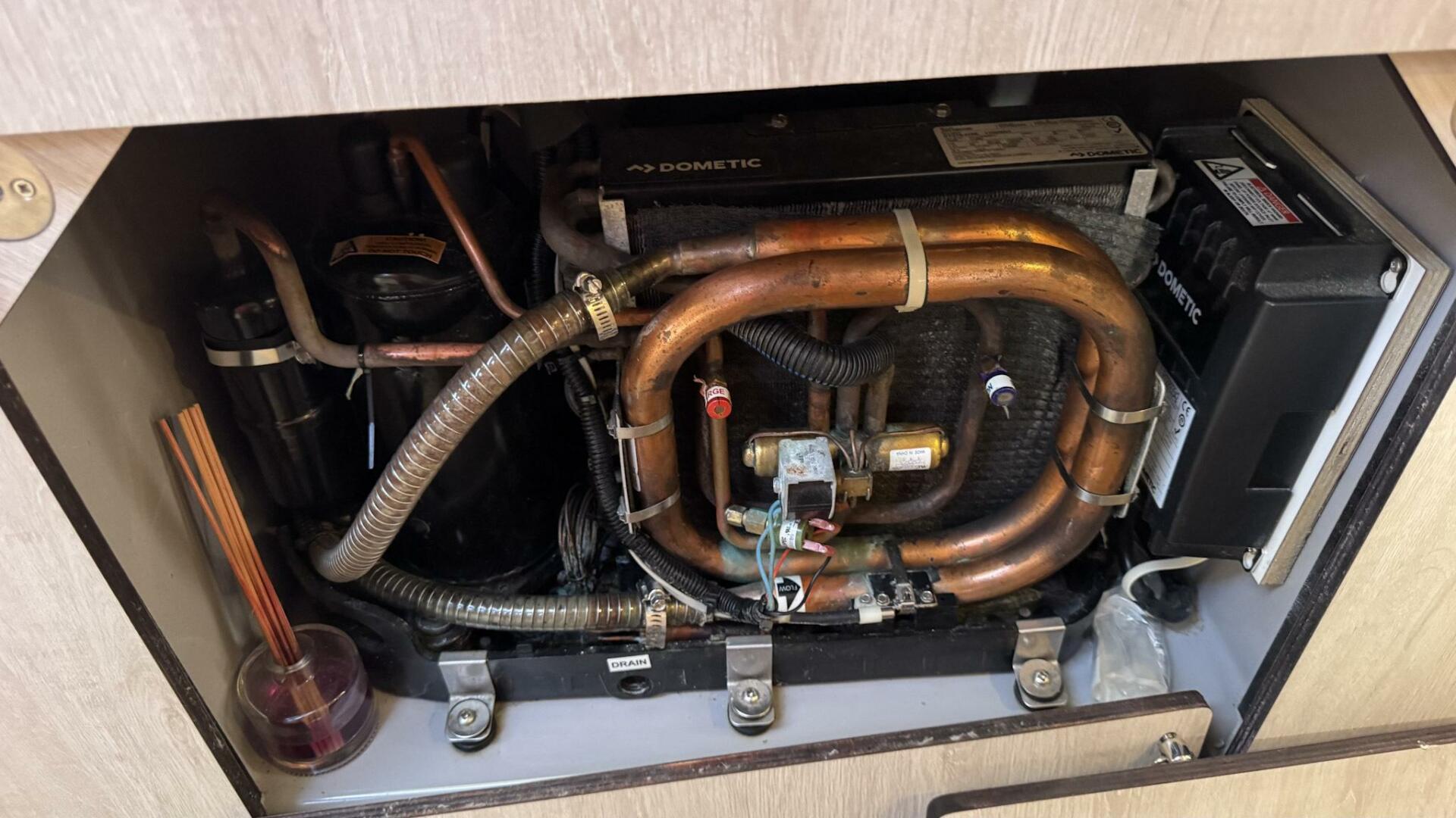 Leopard-43 Powercat 2018-Frida Cat St. Augustine-Florida-United States-2018 Leopard Power Cat-5476130 | Thumbnail