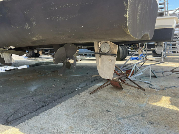 Leopard-43 Powercat 2018-Frida Cat St. Augustine-Florida-United States-2018 Leopard Power Cat Props-5476147