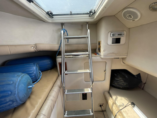 Sea Ray-630 Super Sun Sport 1998-BROWN EYED GIRLS Harrison Township-Michigan-United States-5480460