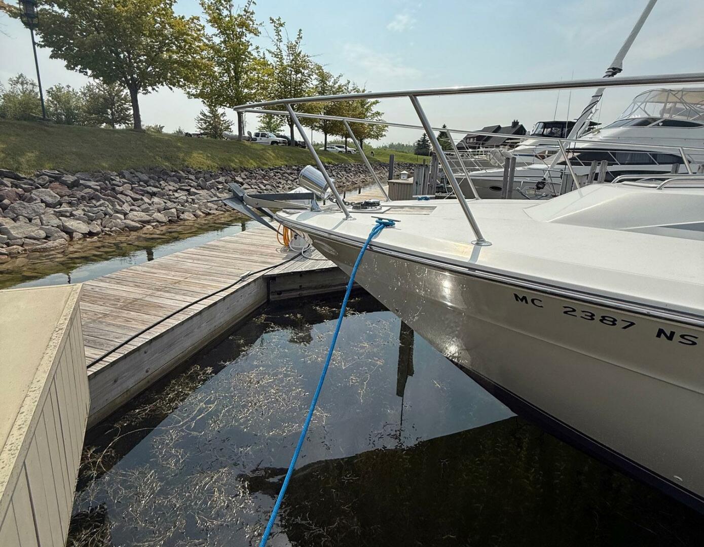 Sea Ray-460 Express Cruiser 1989-Harborview Cheboygan-Michigan-United States-5499390 | Thumbnail