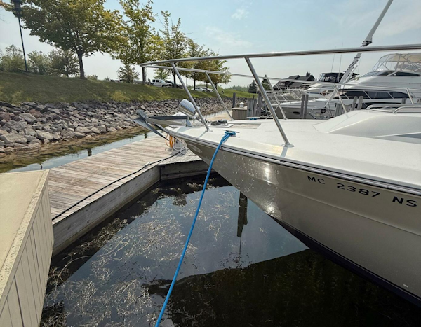 Sea Ray-460 Express Cruiser 1989-Harborview Cheboygan-Michigan-United States-5499390
