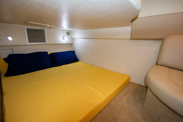 Bayliner-340 2008-Bombacho Hallandale Beach-Florida-United States-5540451