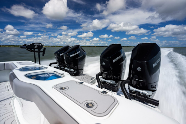 Freeman 2023 -Saint Augustine-Florida-United States-5562739